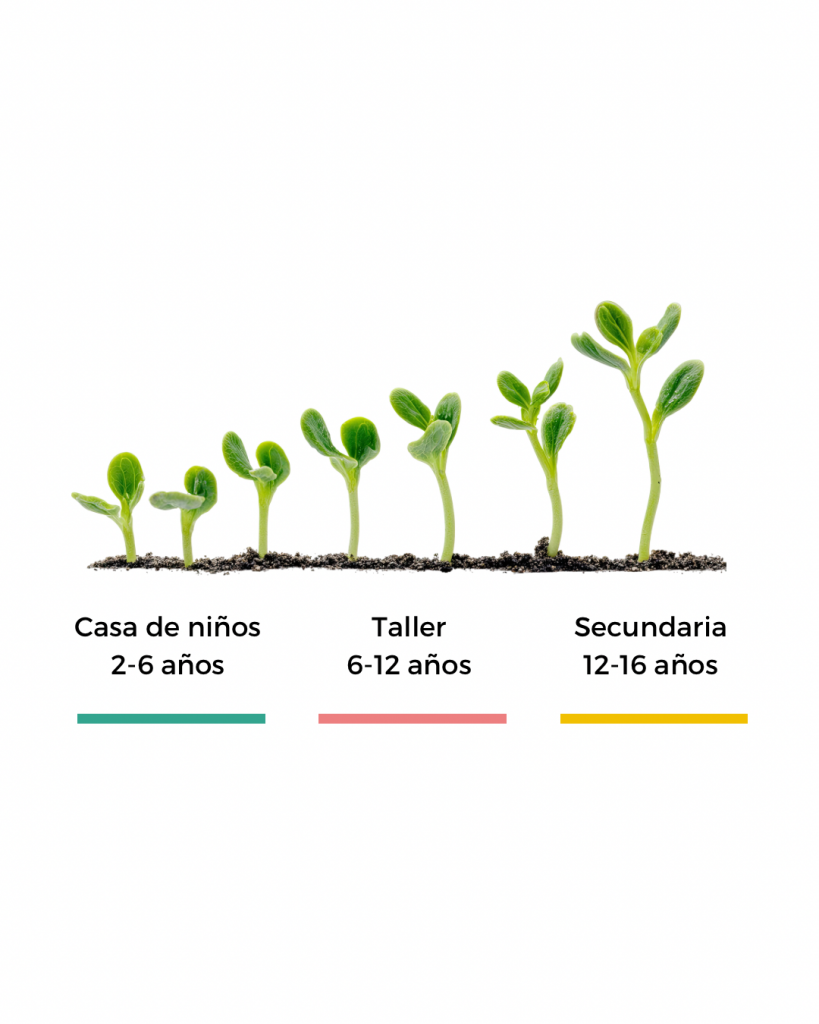 Etapas educativas Montessori en Natura: Casa de Niños, Primaria y Secundaria