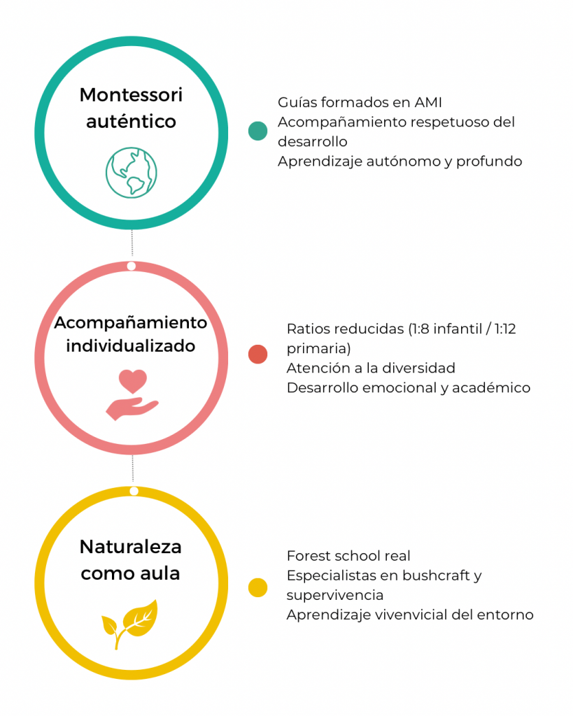 Pilares educativos de Natura Montessori School: pedagogía Montessori, naturaleza, inglés y acompañamiento individualizado
