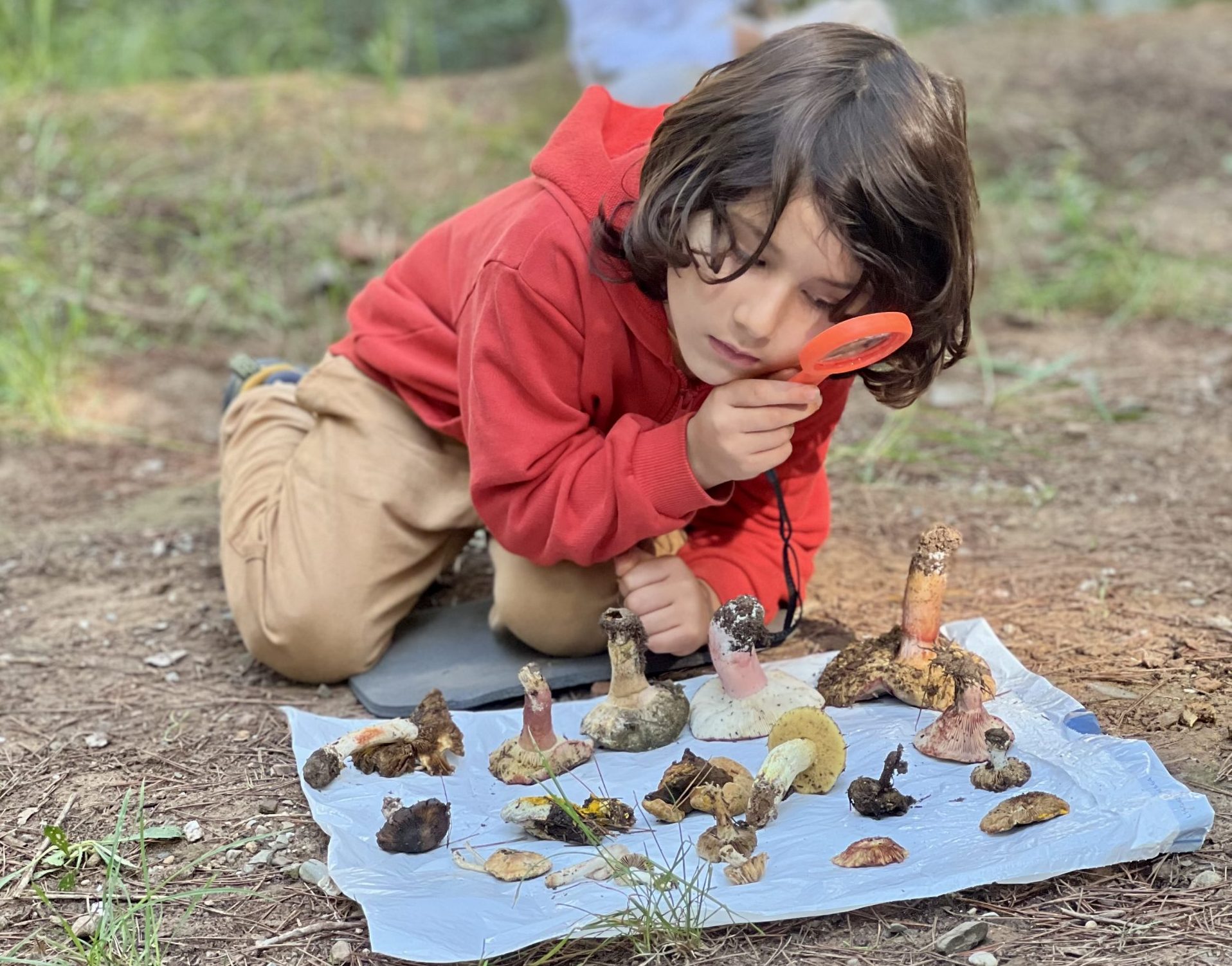 Forest school Montessori